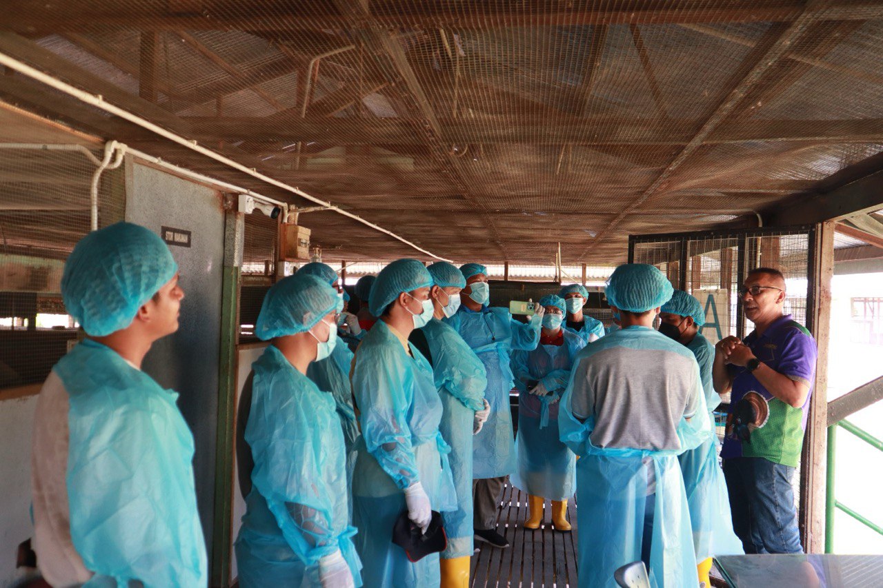 Pemantauan Kandang Puyuh Komuniti